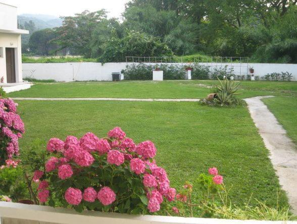Palatino Studios Agia Paraskevi  Exterior photo