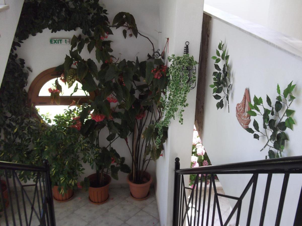 Palatino Studios Agia Paraskevi  Exterior photo